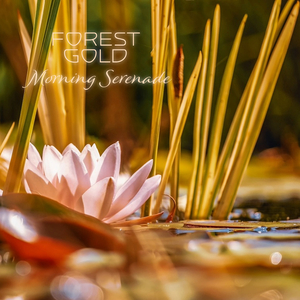 美女射精伍六七
