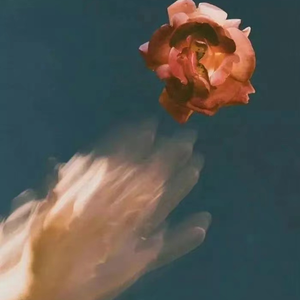 美女射精伍六七
