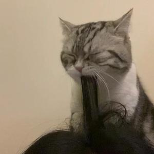 美女射精伍六七
